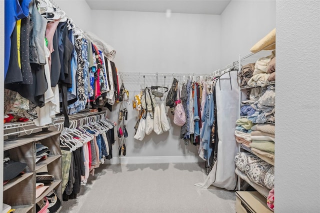 3966 Tour Trce, Land O Lakes, FL 34638 - spacious closet featuring carpet floors