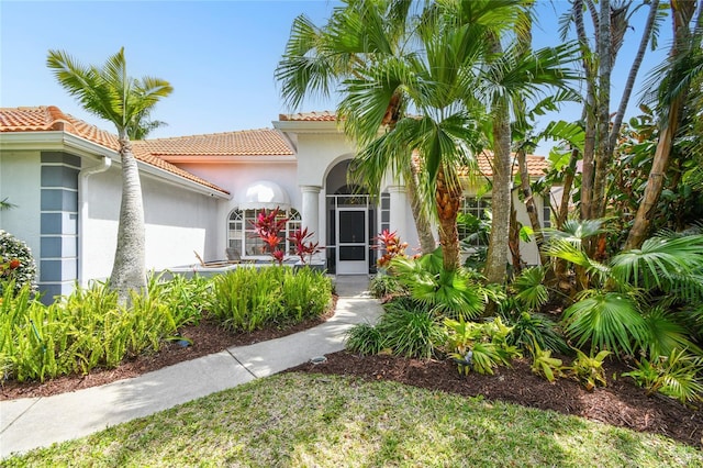 441 Village Dr, Tarpon Springs, FL 34689 - view of front of home featuring stucco siding and a tiled roof