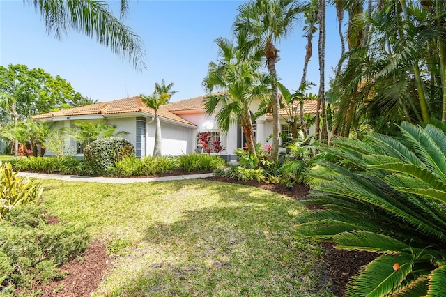 441 Village Dr, Tarpon Springs, FL 34689 - view of front facade with stucco siding, a tile roof, and a front yard