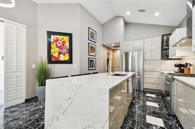 441 Village Dr, Tarpon Springs, FL 34689 - kitchen featuring appliances with stainless steel finishes, modern cabinets, dark marble finish flooring, a sink, and vaulted ceiling