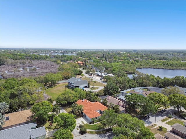 441 Village Dr, Tarpon Springs, FL 34689 - aerial perspective of suburban area with a large body of water and a forest