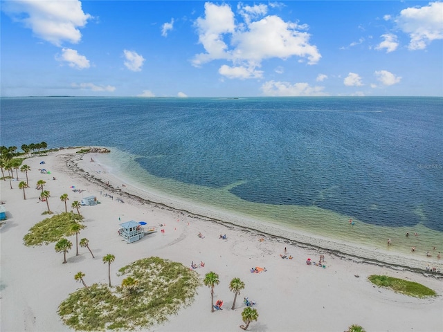 441 Village Dr, Tarpon Springs, FL 34689 - bird's eye view of expansive beach