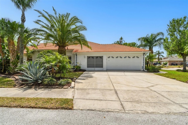 441 Village Dr, Tarpon Springs, FL 34689 - photo 6