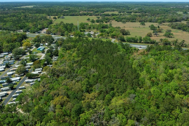 0 Broad St, Brooksville, FL 34601 - photo 16