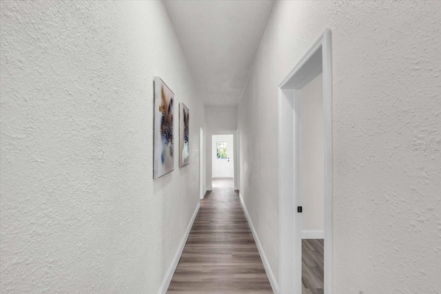 3101 N 15th St, Tampa, FL 33605 - hallway featuring wood finished floors, a textured wall, and baseboards