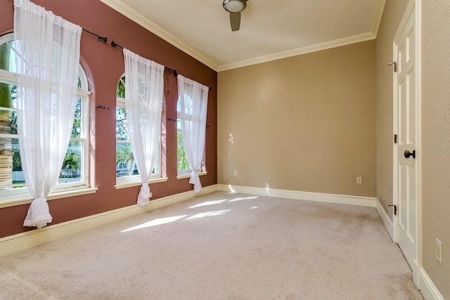 4605 W Vasconia St, Tampa, FL 33629 - photo 60