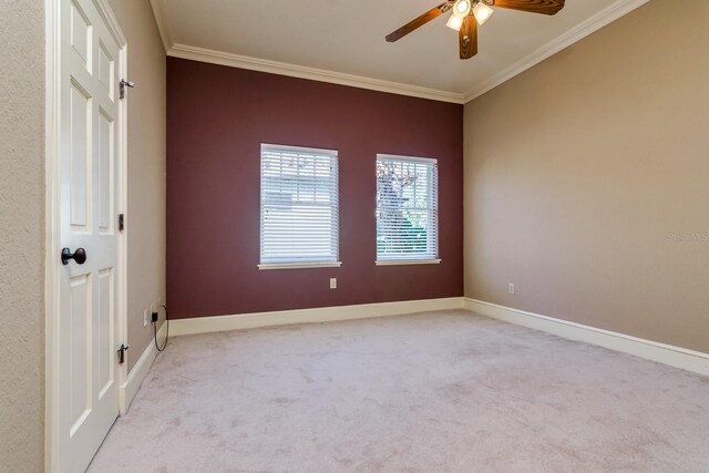 4605 W Vasconia St, Tampa, FL 33629 - photo 67