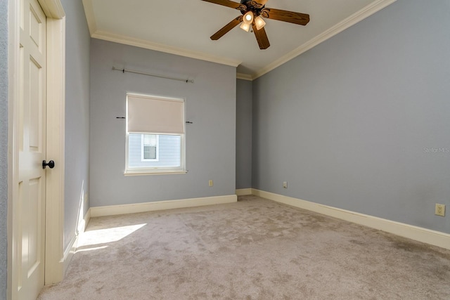 4605 W Vasconia St, Tampa, FL 33629 - photo 69