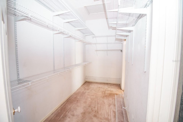 view of spacious closet