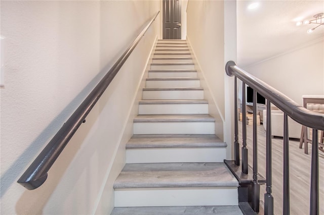 506 S Willow Ave Unit 7, Tampa, FL 33606 - staircase featuring wood finished floors