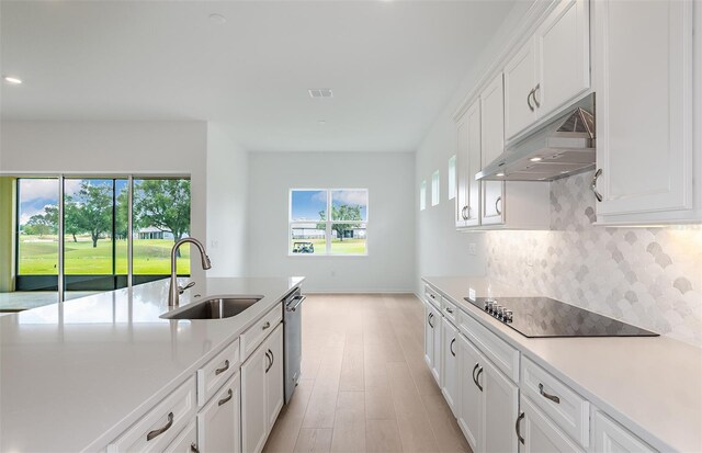 kitchen with black electric stovetop, light countertops, under cabinet range hood, tasteful backsplash, and a sink