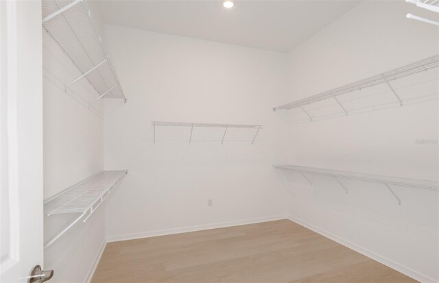 spacious closet featuring light wood-type flooring