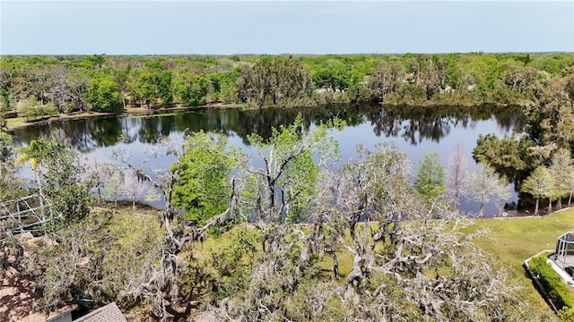 2206 Green Oaks Ln, Tampa, FL 33612 - water view with a wooded view
