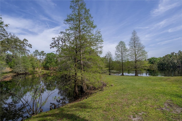 2206 Green Oaks Ln, Tampa, FL 33612 - water view