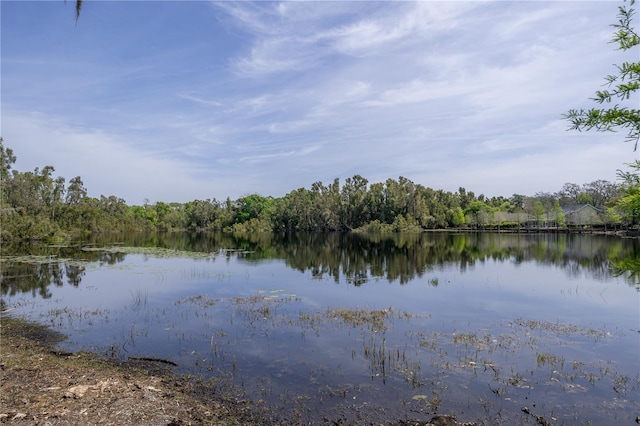 2206 Green Oaks Ln, Tampa, FL 33612 - property view of water