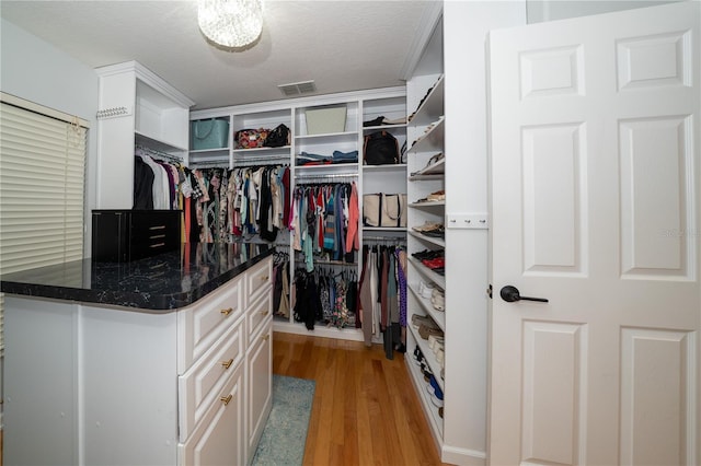 2206 Green Oaks Ln, Tampa, FL 33612 - walk in closet with visible vents and light wood-type flooring