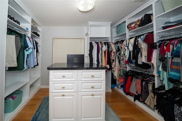 2206 Green Oaks Ln, Tampa, FL 33612 - walk in closet featuring light wood finished floors