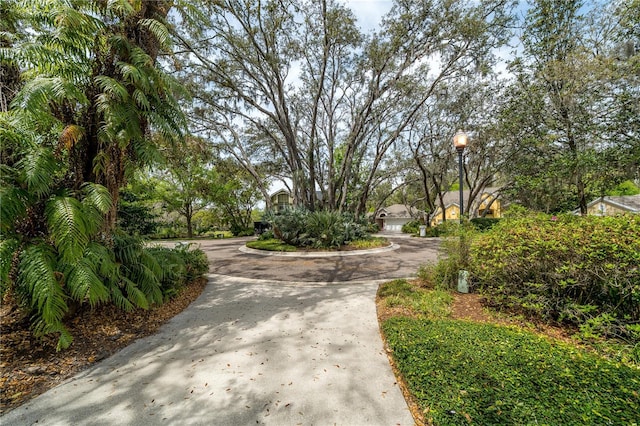 2206 Green Oaks Ln, Tampa, FL 33612 - view of property's community featuring concrete driveway