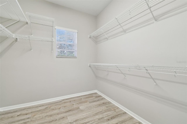 12304 Silton Peace Dr, Riverview, FL 33579 - walk in closet with wood finished floors