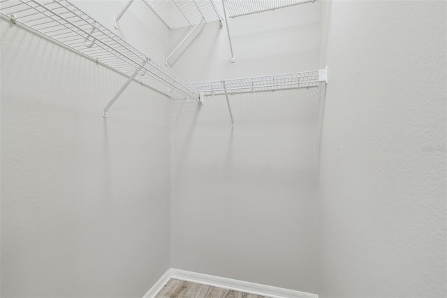 12304 Silton Peace Dr, Riverview, FL 33579 - spacious closet featuring light wood-style flooring
