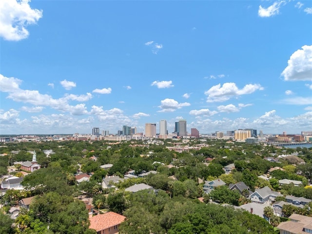 aerial view featuring a city view
