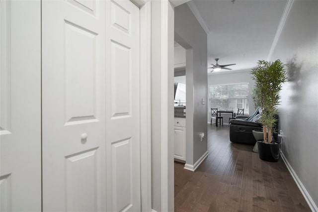 800 S Dakota Ave Unit 221, Tampa, FL 33606 - photo 17