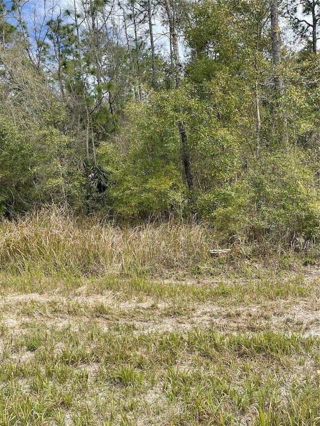 Cedarwood Ave, Brooksville FL, 34614 land for sale