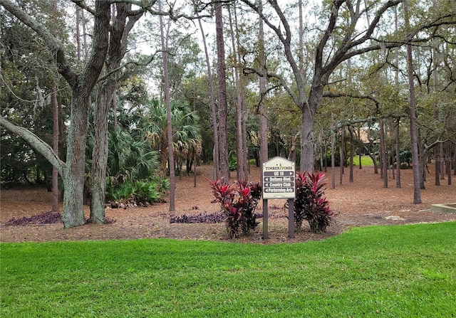 7392 Meadow Brook Ln, Spring Hill, FL 34606 - view of green lawn