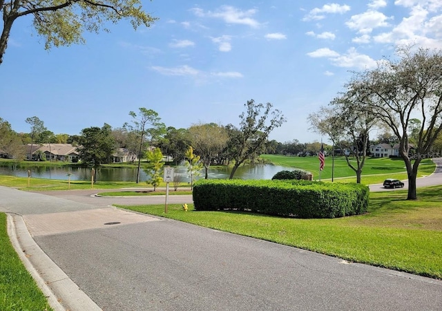 7392 Meadow Brook Ln, Spring Hill, FL 34606 - surrounding community with a water view, a yard, and a residential view