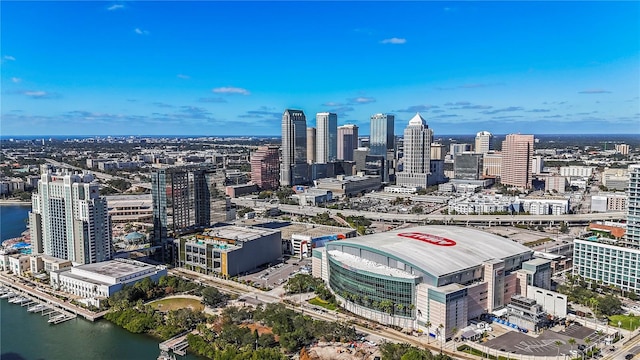 700 S Harbour Island Blvd Unit 240, Tampa, FL 33602 - property's view of city featuring a water view