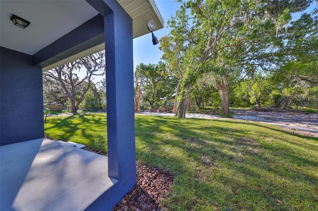 view of yard with a patio