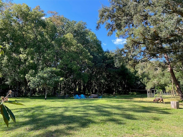 6701 Medlar Dr, New Port Richey, FL 34653 - photo 20