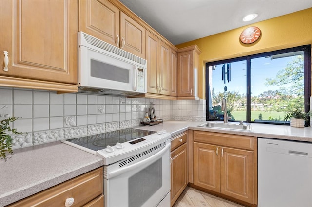 5625 Escondida Blvd S, Saint Petersburg, FL 33715 - photo 15