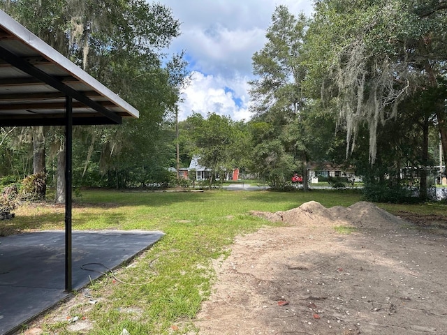 5562 S US-301, Bushnell, FL 33513 - view of yard