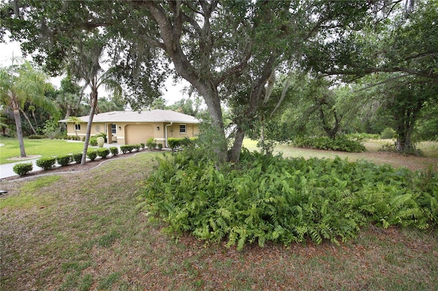 view of yard featuring an attached garage