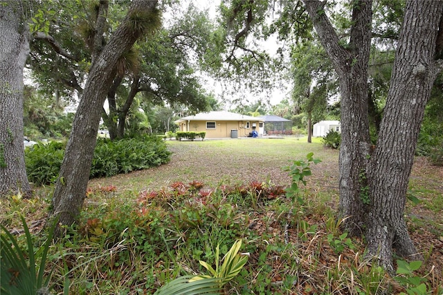view of yard featuring an outbuilding