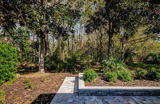 15925 Pond Rush Ct, Land O Lakes, FL 34638 - view of yard with a forest view