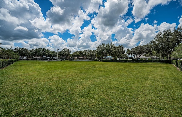 15925 Pond Rush Ct, Land O Lakes, FL 34638 - view of grassy yard