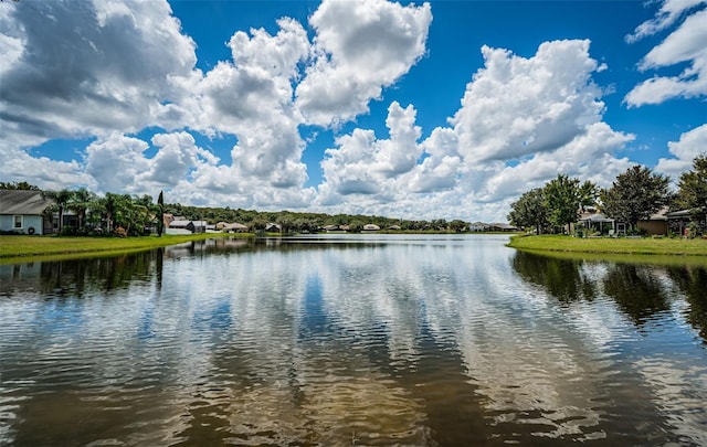 15925 Pond Rush Ct, Land O Lakes, FL 34638 - water view