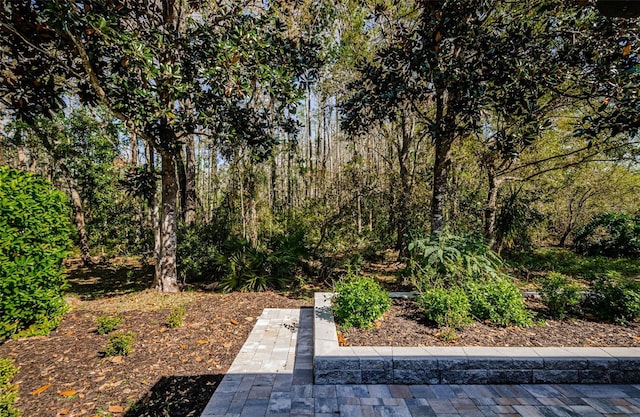 15925 Pond Rush Ct, Land O Lakes, FL 34638 - photo 50