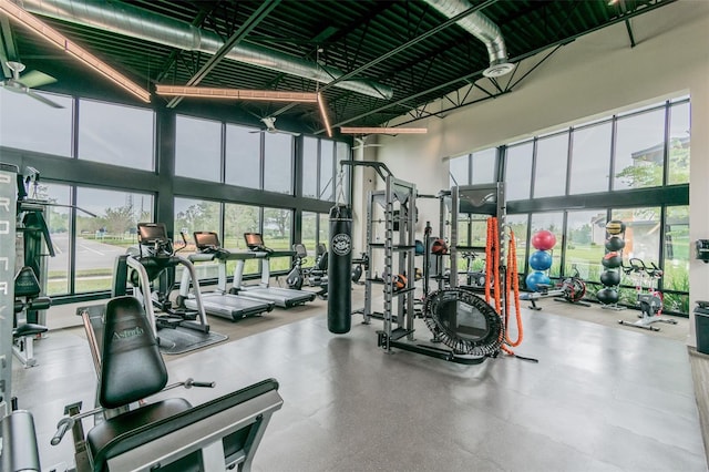 exercise room featuring a high ceiling