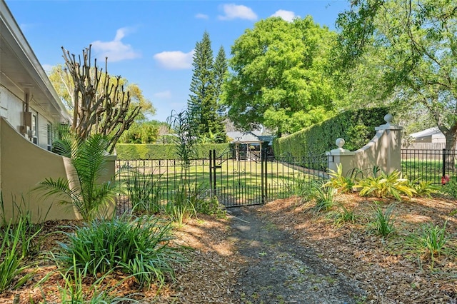 20315 Mid Ct, Lutz, FL 33558 - view of gate featuring a fenced front yard