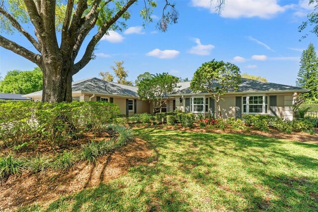 20315 Mid Ct, Lutz, FL 33558 - back of property featuring stucco siding and a yard