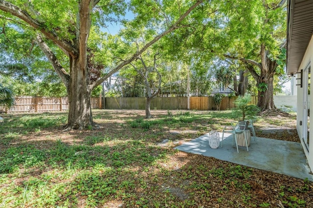 1104 S Lois Ave, Tampa, FL 33629 - photo 21
