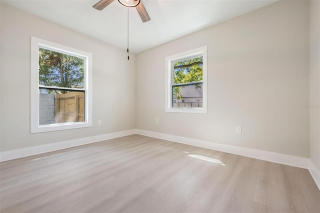 1104 S Lois Ave, Tampa, FL 33629 - photo 15