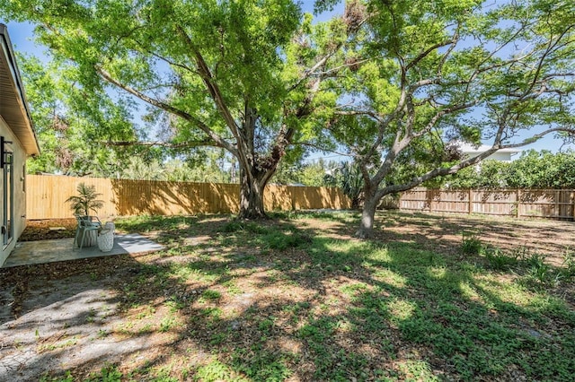 1104 S Lois Ave, Tampa, FL 33629 - photo 23