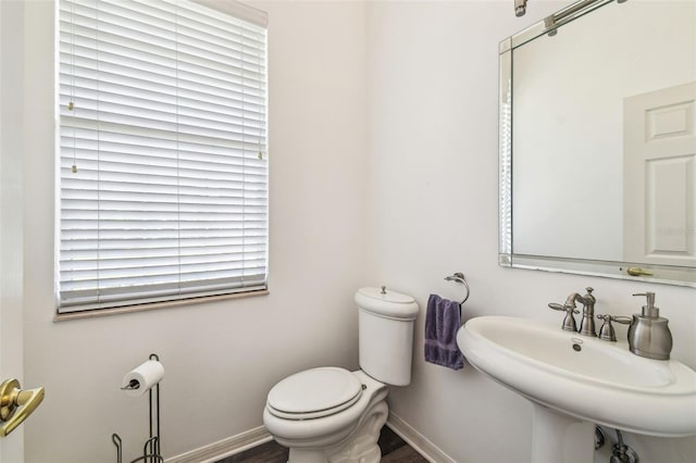 19530 Barrie Acres Trl, Odessa, FL 33556 - photo 40