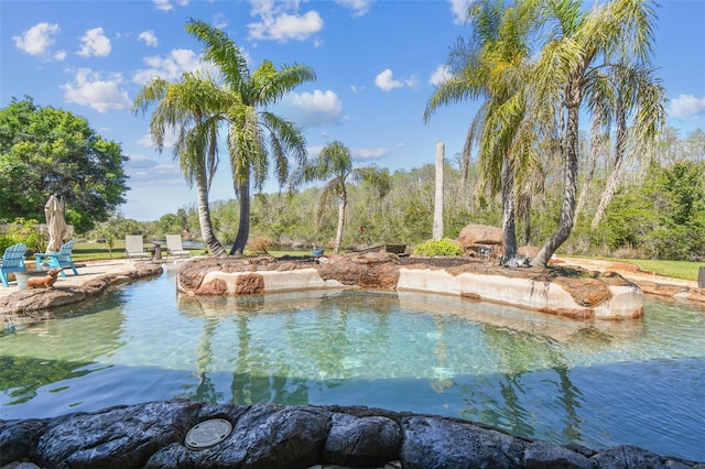 19530 Barrie Acres Trl, Odessa, FL 33556 - photo 67