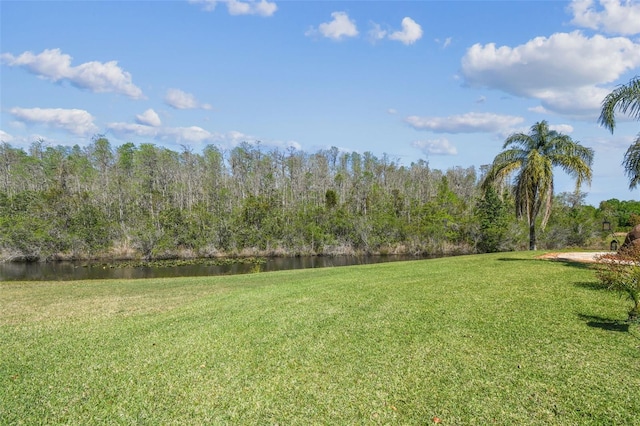 19530 Barrie Acres Trl, Odessa, FL 33556 - photo 83