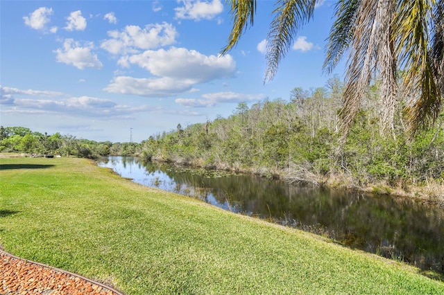 19530 Barrie Acres Trl, Odessa, FL 33556 - photo 84